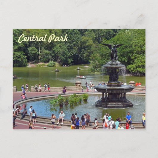 Vliegtuig en meer in Central Park, New York City Briefkaart (Voorkant)