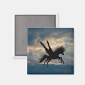 Vliegtuig Magnet Magneet (Voorkant / Achterkant)