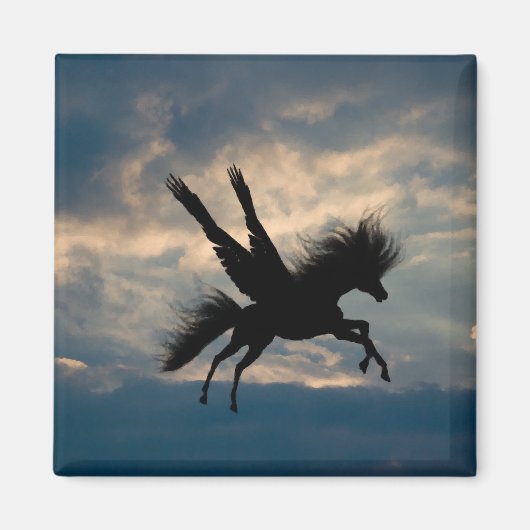 Vliegtuig Magnet Magneet (Voorkant)