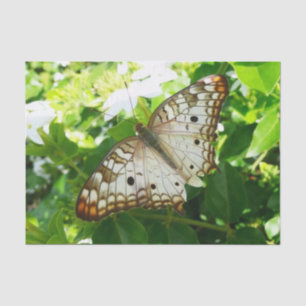 Vliegtuig op Jasmine Tissuepapier