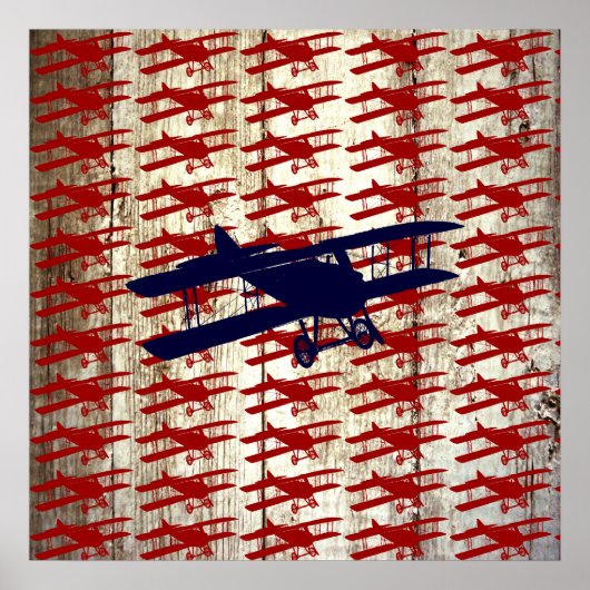 vliegtuig op schoorsteenvliegjes poster (Voorkant)