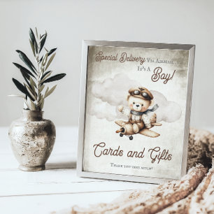Vliegtuig Teddy Bear Douche Kaarten en geschenken Poster