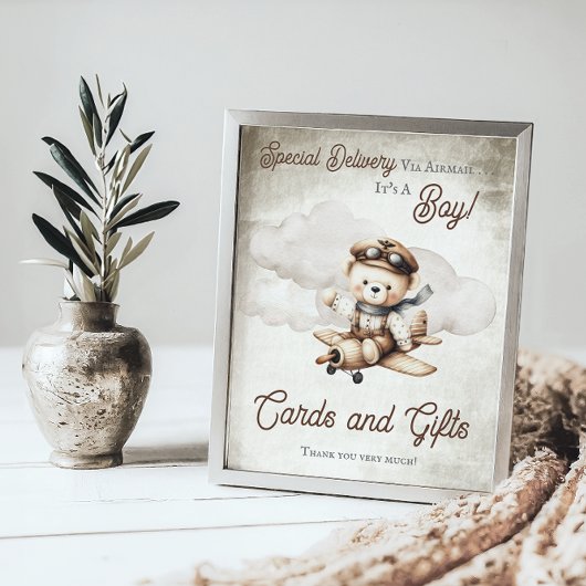 Vliegtuig Teddy Bear Douche Kaarten en geschenken Poster
