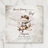 Vliegtuig Teddy Bear Special Delivery Baby shower Bedankjes Labels (Voorkant)
