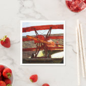 vliegtuig van Shirley Taylor Servetten (Insitu)