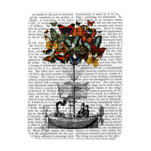 Vliegtuig voor de vlinder magneet