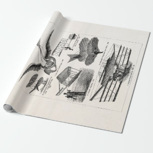 Vliegtuigen Vliegtuigen Retrovliegtuigen Cadeaupapier