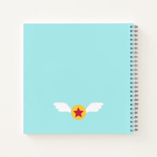 Vliegtuigexploitanten met klautervlucht, speciaal notitieboek (Achterkant)