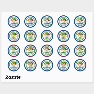 Vliegtuigpatriotten van Belize en Belizean, vakant Ronde Sticker
