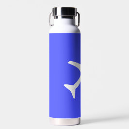 Vliegtuigvliegtuig piloot vliegend luchtruim waterfles