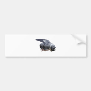 vliegvarken bumpersticker