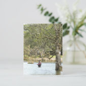 VLIEGVISSEN BRIEFKAART (Staand voorkant)