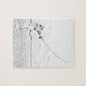 vliegvisser legpuzzel (Horizontaal)