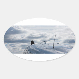 Vliegvliegtuig Ovale Sticker