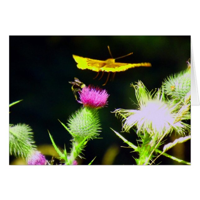 Vliegweg (Voorkant Horizontaal)