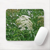 Vlierbes (Sambucus canadensis) Mousepad Muismat (Met muis)