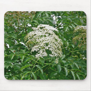 Vlierbes (Sambucus canadensis) Mousepad Muismat