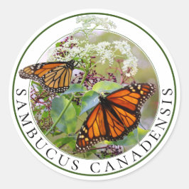 Vlierbes Sambucus en Monarch Butterfly Ronde Sticker