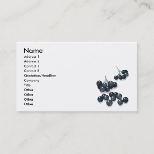 vlierbessen visitekaartje