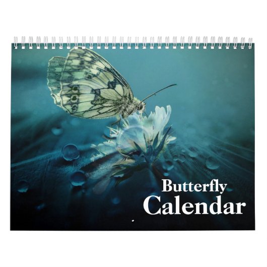 Vlinder 2025 kalender (Hoes)