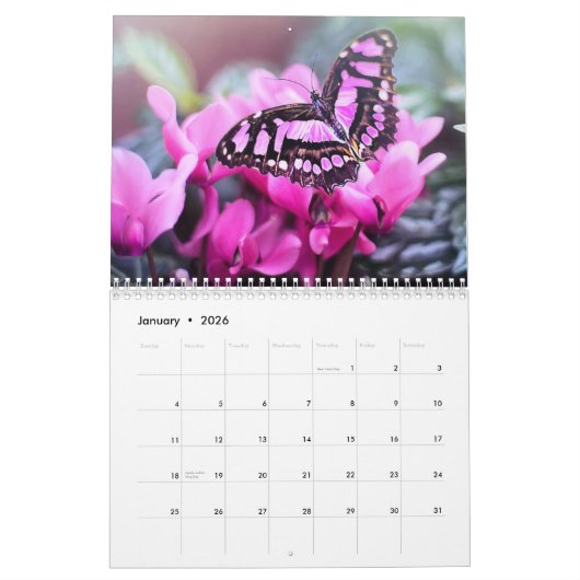Vlinder 2025 kalender (Jan 2026)