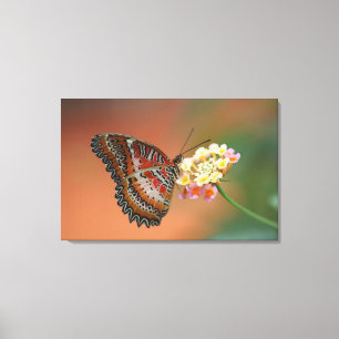 vlinder 2 canvas afdruk