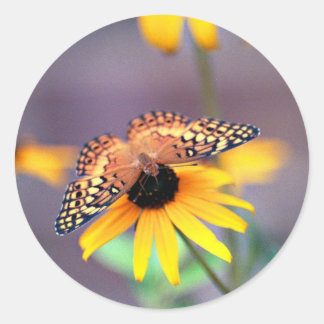 vlinder 3 ronde sticker