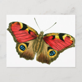 vlinder-9-eop briefkaart