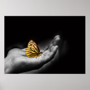 vlinder aan de hand poster