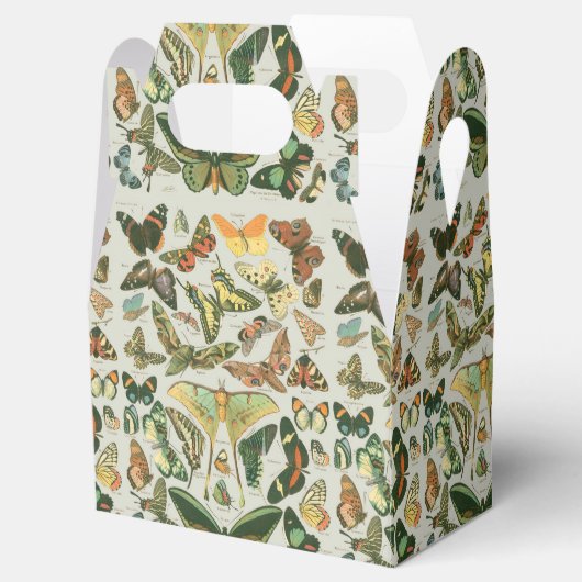 Vlinder Antiek Vlinders Art Bedankdoosjes (Geopend)