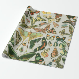 Vlinder Antiek Vlinders Art Cadeaupapier