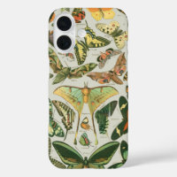 Vlinder Antiek Vlinders Art