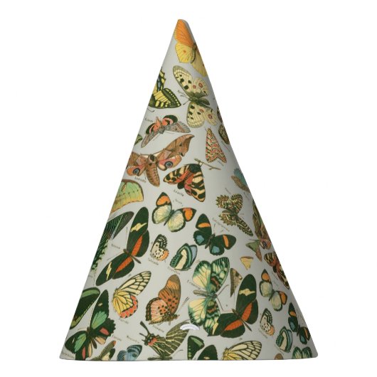 Vlinder Antiek Vlinders Art Feesthoedjes (Rechts)
