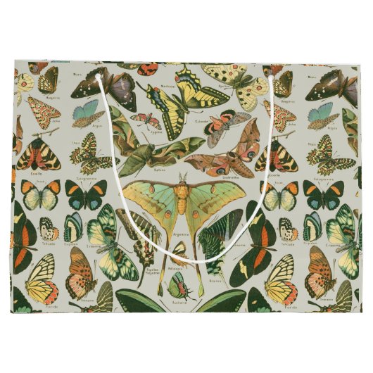 Vlinder  Antiek Vlinders Art Groot Cadeauzakje (Achterkant)