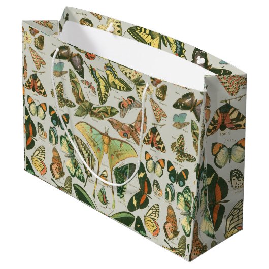 Vlinder  Antiek Vlinders Art Groot Cadeauzakje (Achterkant Gekanteld)