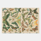 Vlinder Antiek Vlinders Art Inpakpapier Vel (Voorkant 2)