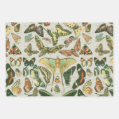 Vlinder Antiek Vlinders Art Inpakpapier Vel (Voorkant)