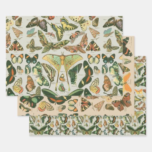 Vlinder Antiek Vlinders Art Inpakpapier Vel (Set)