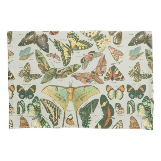 Vlinder  Antiek Vlinders Art Kussensloop (Voorkant)