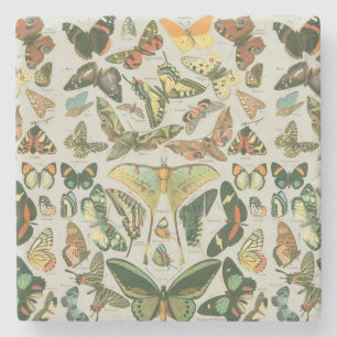 Vlinder  Antiek Vlinders Art Stenen Onderzetter