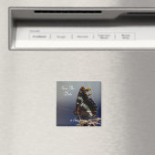 Vlinder Bewaar de datummagneten Magneet (Insitu (Vaatwasser))