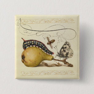 Vlinder Bij Fruit Insect Illustratie Vierkante Button 5,1 Cm