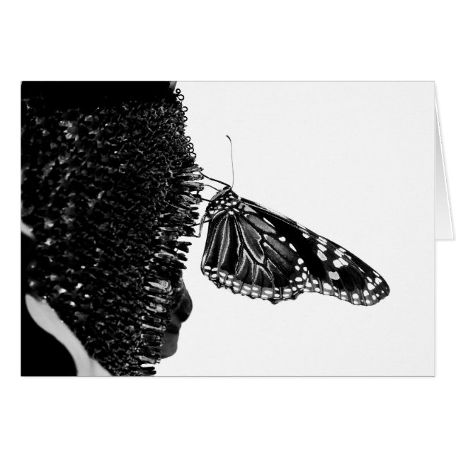 vlinder blacq (Voorkant Horizontaal)