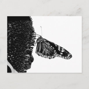 vlinder blacq briefkaart