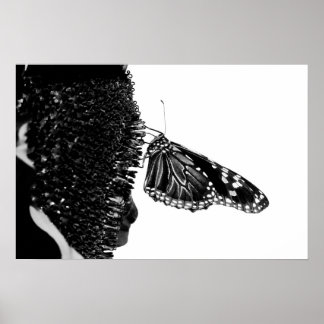 vlinder blacq poster