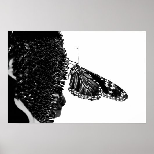 vlinder blacq poster (Voorkant)