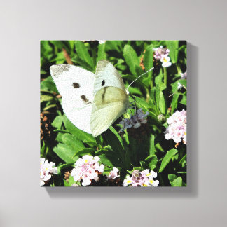 Vlinder Bloem Canvas Print