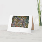 Vlinder bloementuin wilg  illustratie kaart (Achterkant)