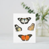 vlinder briefkaart (Staand voorkant)