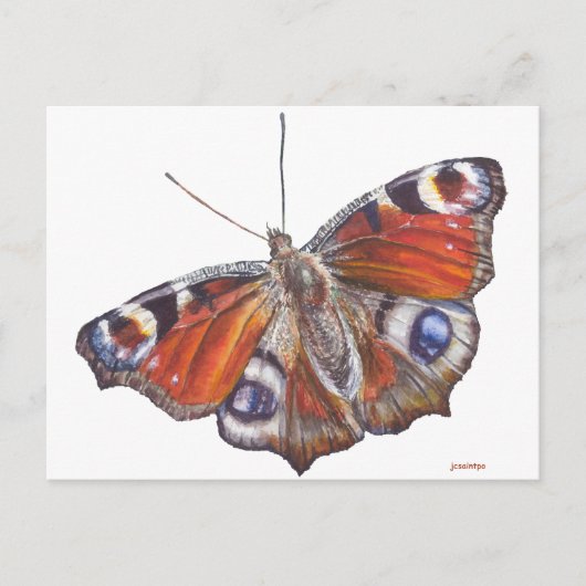 Vlinder Briefkaart (Voorkant)
